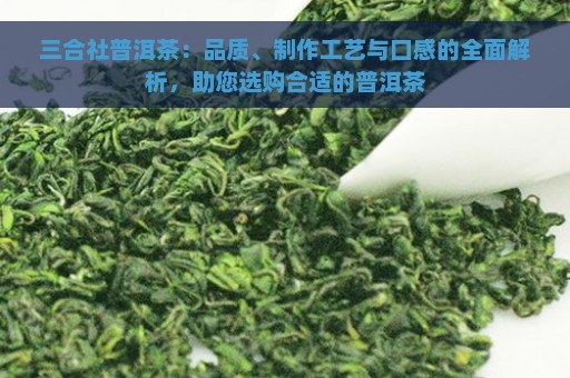 三合社普洱茶：品质、制作工艺与口感的全面解析，助您选购合适的普洱茶