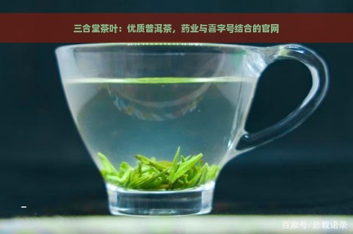 三合堂茶叶：优质普洱茶，药业与喜字号结合的官网