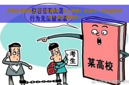 美团生活费晚上可以申请吗？怎么申请？安全吗？现在能到账吗？能下额度吗？