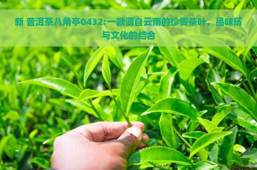 新 普洱茶八角亭0432:一款源自云南的珍贵茶叶，品味历与文化的结合