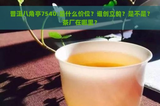 普洱八角亭7540:是什么价位？谁创立的？是不是？茶厂在哪里？