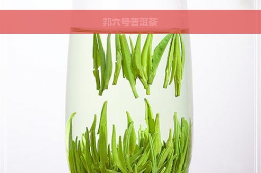 邦六号普洱茶