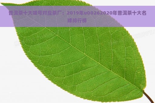 普洱茶十大唛号对应茶厂：2019年u00262020年普洱茶十大名牌排行榜