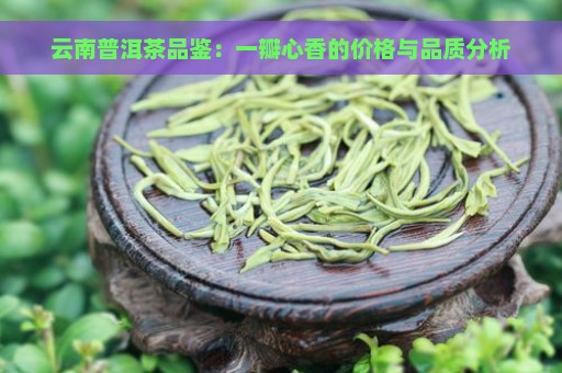 云南普洱茶品鉴：一瓣心香的价格与品质分析