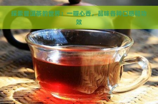 探索普洱茶的世界：一瓣心香，品味各种口感和功效