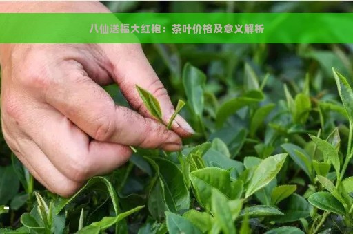 八仙送福大红袍：茶叶价格及意义解析