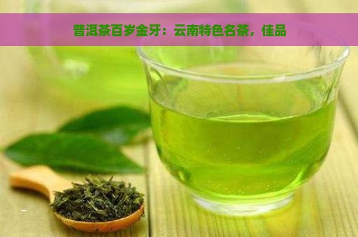 普洱茶百岁金牙：云南特色名茶，佳品