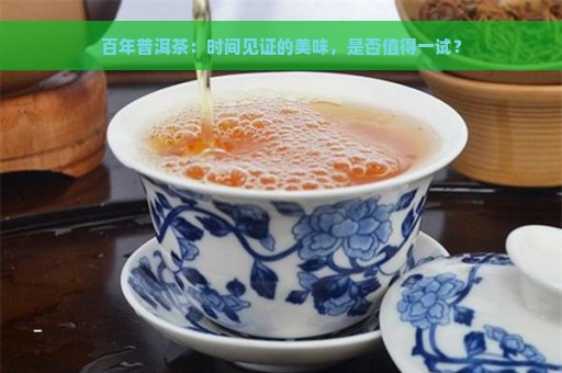 百年普洱茶：时间见证的美味，是否值得一试？