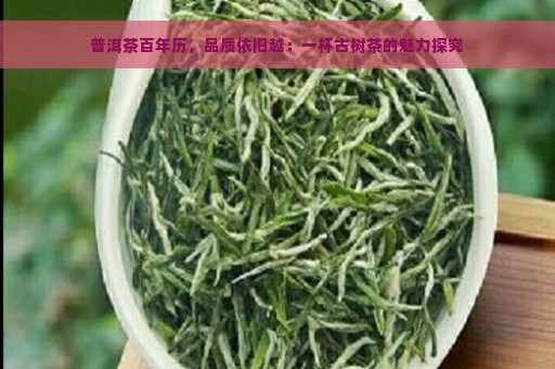 普洱茶百年历，品质依旧越：一杯古树茶的魅力探究