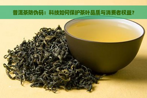 普洱茶防伪码：科技如何保护茶叶品质与消费者权益？