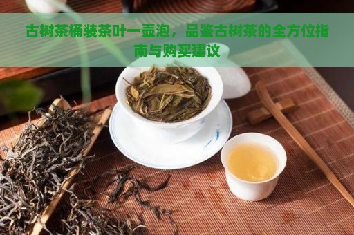 古树茶桶装茶叶一壶泡，品鉴古树茶的全方位指南与购买建议