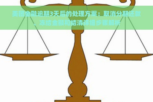 美团金融逾期3天后的处理方案：取消分期还款、冻结金额和结清详细步骤解析