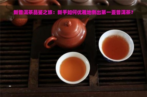 新普洱茶品鉴之旅：新手如何优雅地倒出第一壶普洱茶？