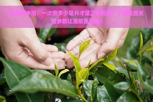 普洱茶冲泡：一次倒多少毫升才是正确的量？了解这些关键参数让泡茶更准确！