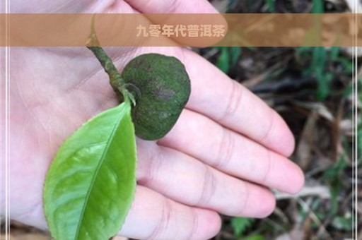 九零年代普洱茶