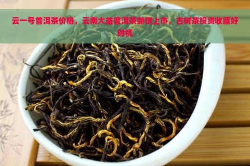 云一号普洱茶价格，云南大益普洱茶新饼上市，古树茶投资收藏好时机