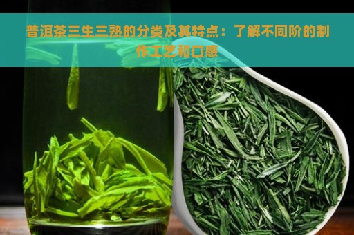 普洱茶三生三熟的分类及其特点：了解不同阶的制作工艺和口感