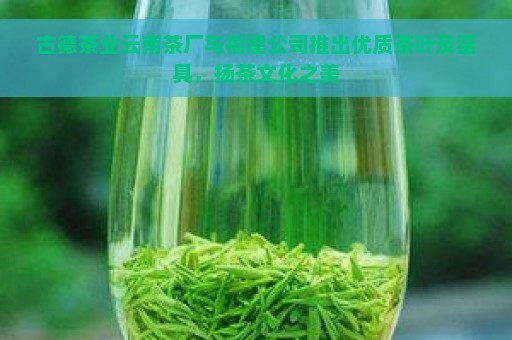 古德茶业云南茶厂与福建公司推出优质茶叶及窑具，扬茶文化之美