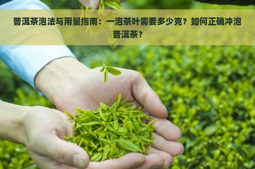 普洱茶泡法与用量指南：一泡茶叶需要多少克？如何正确冲泡普洱茶？