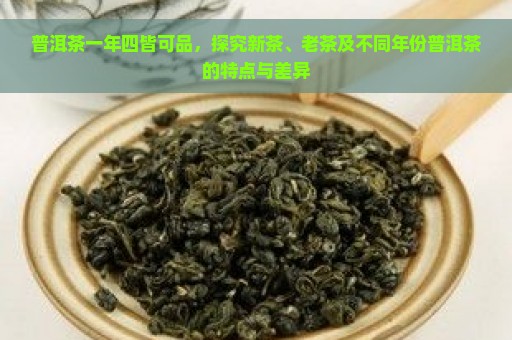 普洱茶一年四皆可品，探究新茶、老茶及不同年份普洱茶的特点与差异