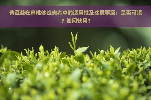 普洱茶在扁桃体炎患者中的适用性及注意事项：是否可喝？如何饮用？