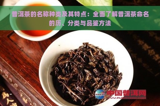 普洱茶的名称种类及其特点：全面了解普洱茶命名的历、分类与品鉴方法