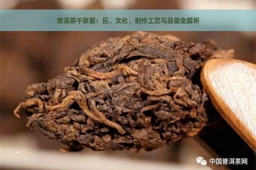 普洱茶千家寨：历、文化、制作工艺与品鉴全解析