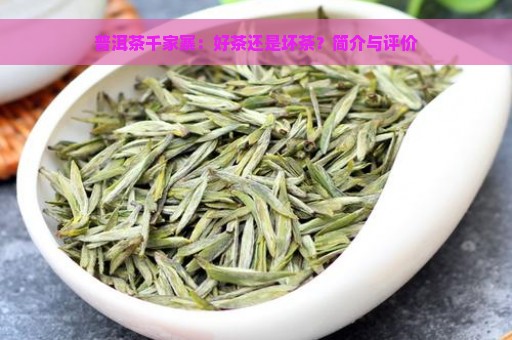 普洱茶千家寨：好茶还是坏茶？简介与评价