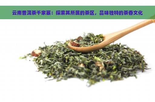 云南普洱茶千家寨：探索其所属的茶区，品味独特的茶香文化