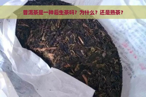 普洱茶是一种后生茶吗？为什么？还是熟茶？