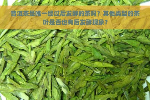 普洱茶是唯一经过后发酵的茶吗？其他类型的茶叶是否也有后发酵现象？