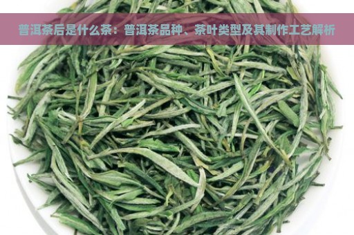 普洱茶后是什么茶：普洱茶品种、茶叶类型及其制作工艺解析