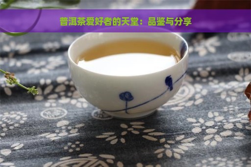 普洱茶爱好者的天堂：品鉴与分享