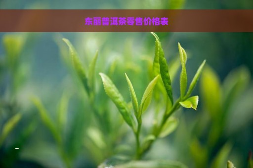 东丽普洱茶零售价格表