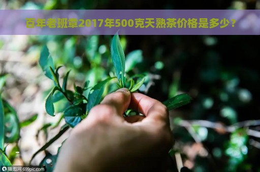 百年老班章2017年500克天熟茶价格是多少？