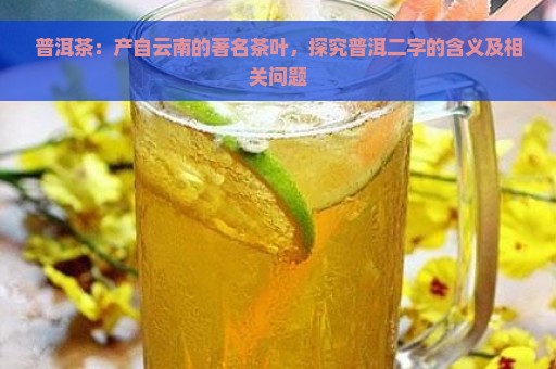 普洱茶：产自云南的著名茶叶，探究普洱二字的含义及相关问题