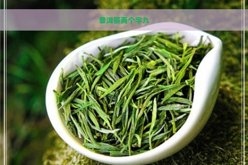 普洱茶两个字九