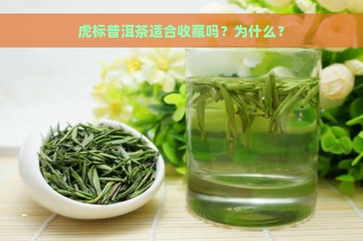 虎标普洱茶适合收藏吗？为什么？