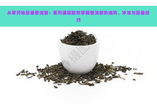 从零开始品鉴普洱茶：系列课程助您掌握普洱茶的选购、冲泡与品鉴技巧