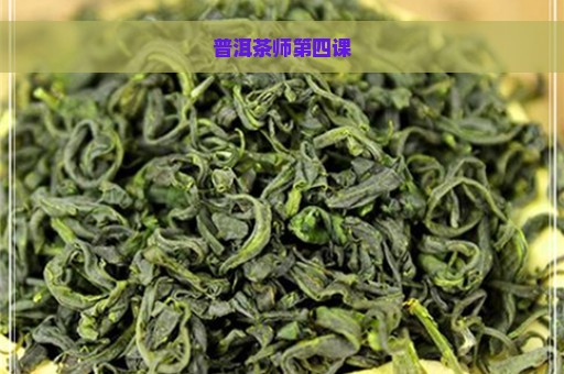 普洱茶师第四课