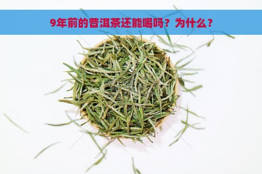 9年前的普洱茶还能喝吗？为什么？