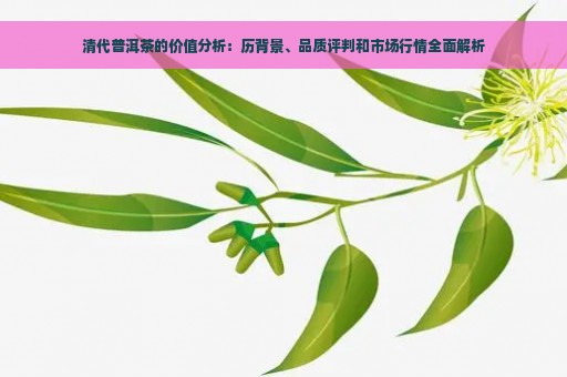 清代普洱茶的价值分析：历背景、品质评判和市场行情全面解析