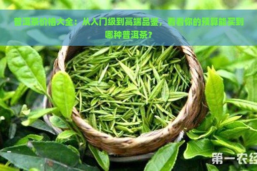 普洱茶价格大全：从入门级到高端品鉴，看看你的预算能买到哪种普洱茶？