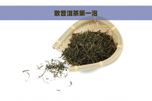 散普洱茶第一泡