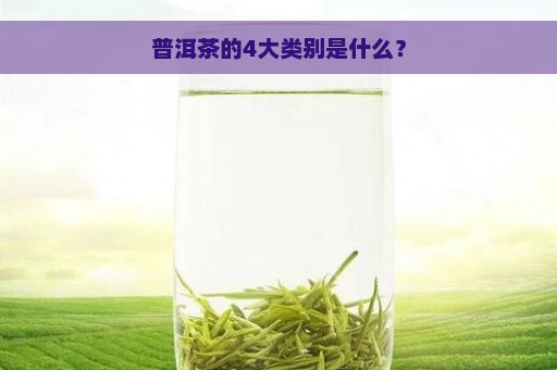 普洱茶的4大类别是什么？