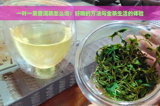 一叶一果普洱茶怎么泡：好喝的方法与全茶生活的体验