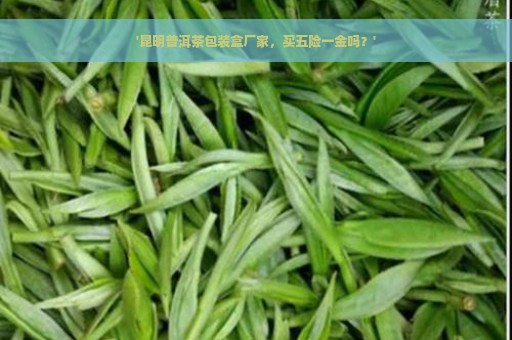 '昆明普洱茶包装盒厂家，买五险一金吗？'