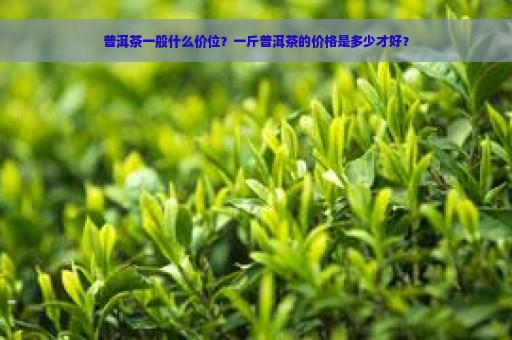 普洱茶一般什么价位？一斤普洱茶的价格是多少才好？