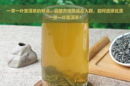 一芽一叶普洱茶的特点、品鉴方法及适合人群，如何选择优质一芽一叶普洱茶？