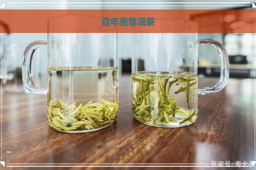 百年善普洱茶